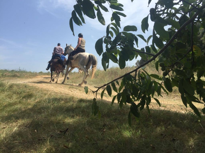 horse riding holiday in spain