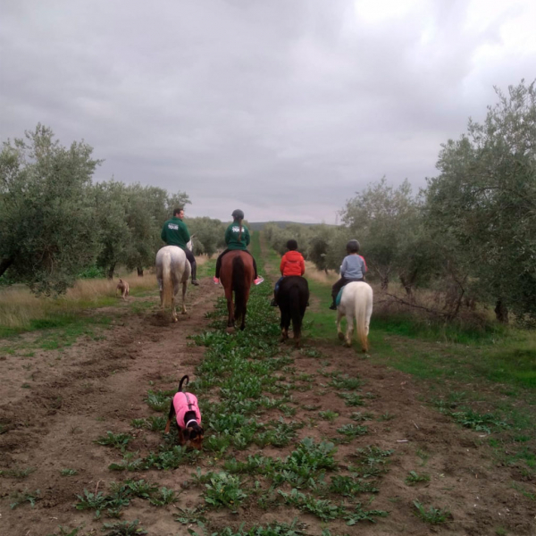vacances a cheval au Portugal