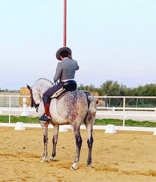 stage equitation portugaise