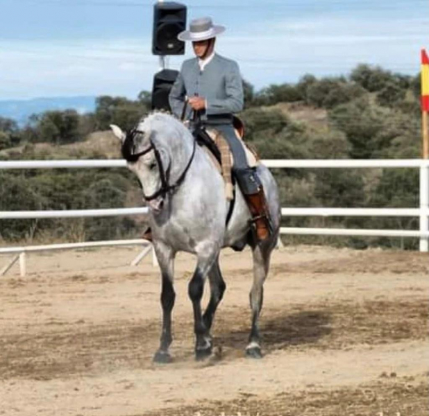 stage equitation portugal