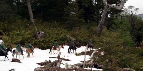 randonnee a cheval en argentine