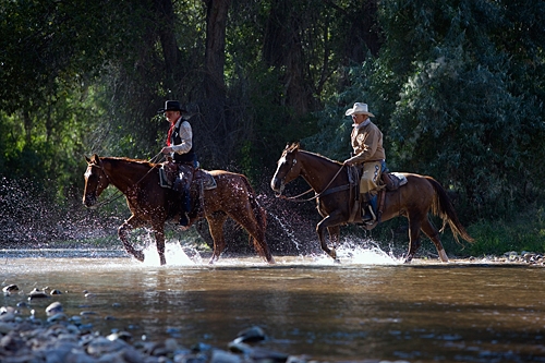 cheval dans un ranch usa