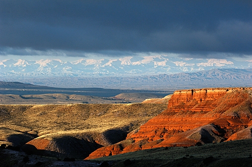 voyage cheval montana usa