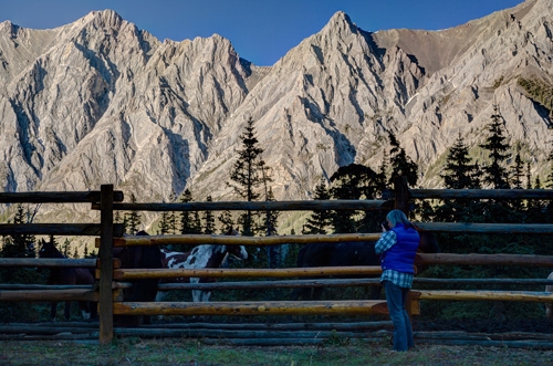 vacances ranch cheval Canada