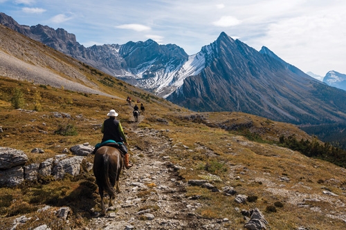 A cheval dans les Rocheuses au Canada