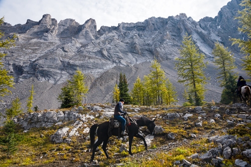 rando equestre canada