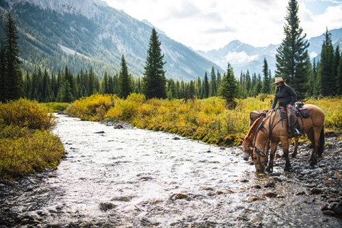 randonnee a cheval au canada