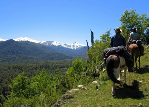 Andes horseback