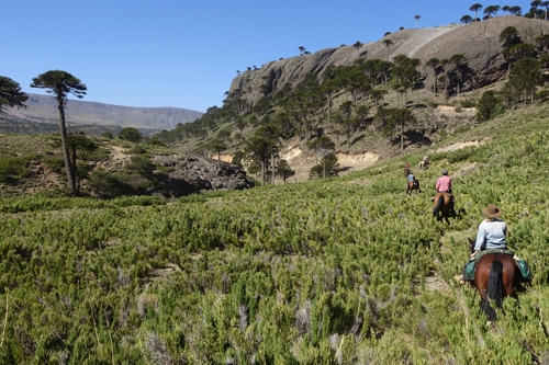 horse trail ride in Chile