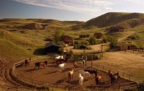 randonnee a cheval au canada