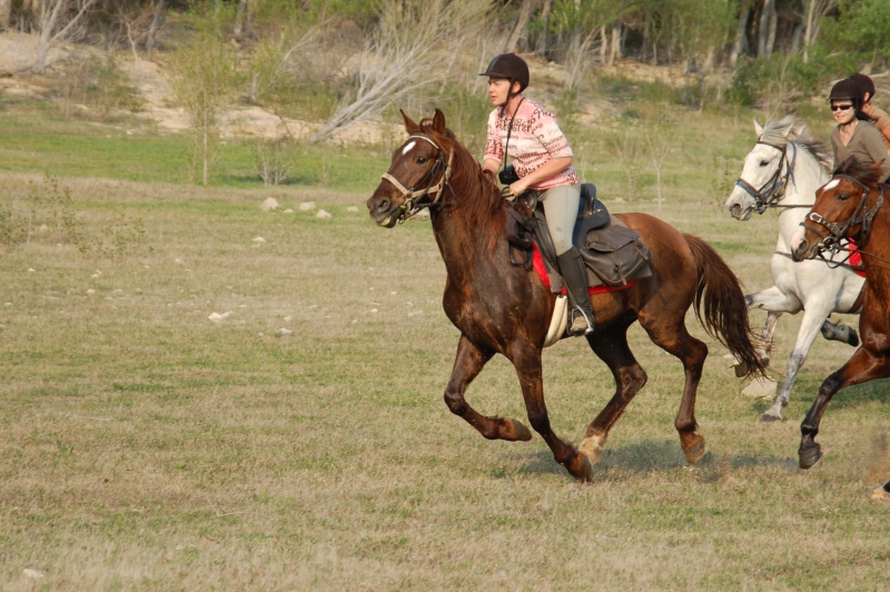 horse rdiding with accommodation in spain