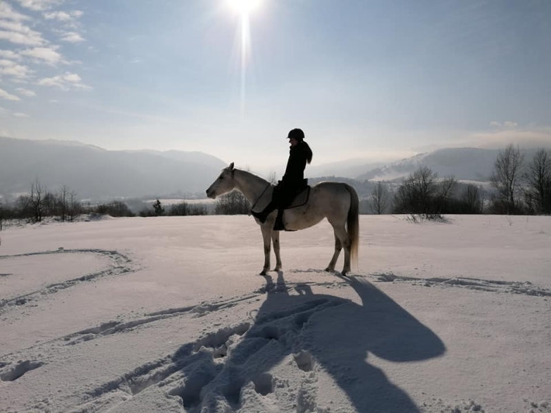 croatia horse riding