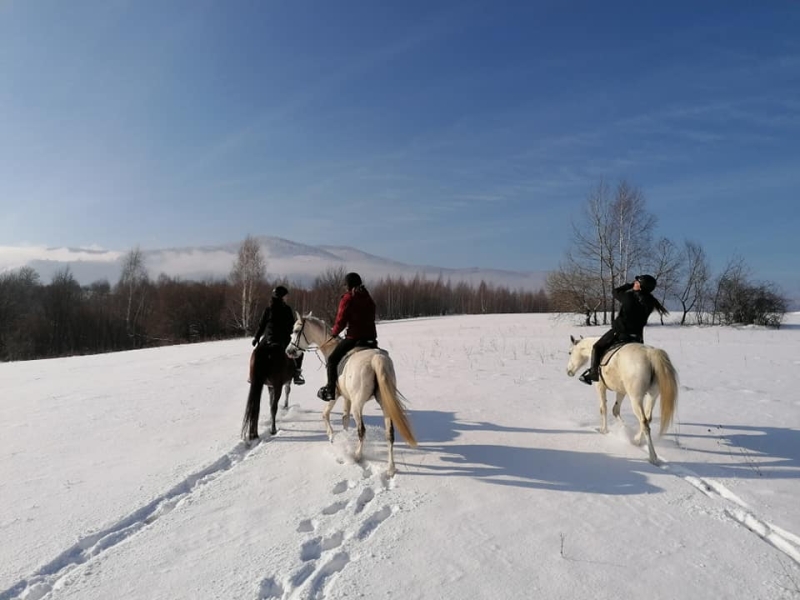 rando cheval Croatie