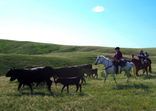 rando cheval Canada