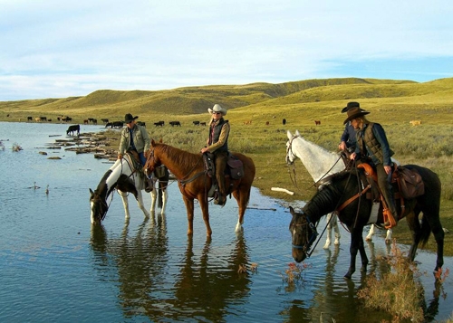 rando a cheval colombie britannique