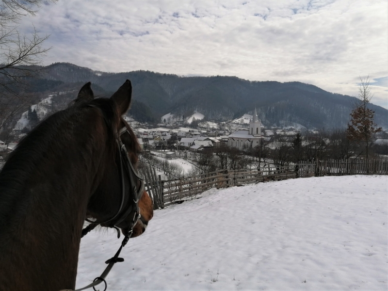 horse riding vacation croatia