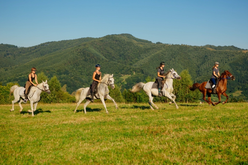 horseback riding trip in Tuscany