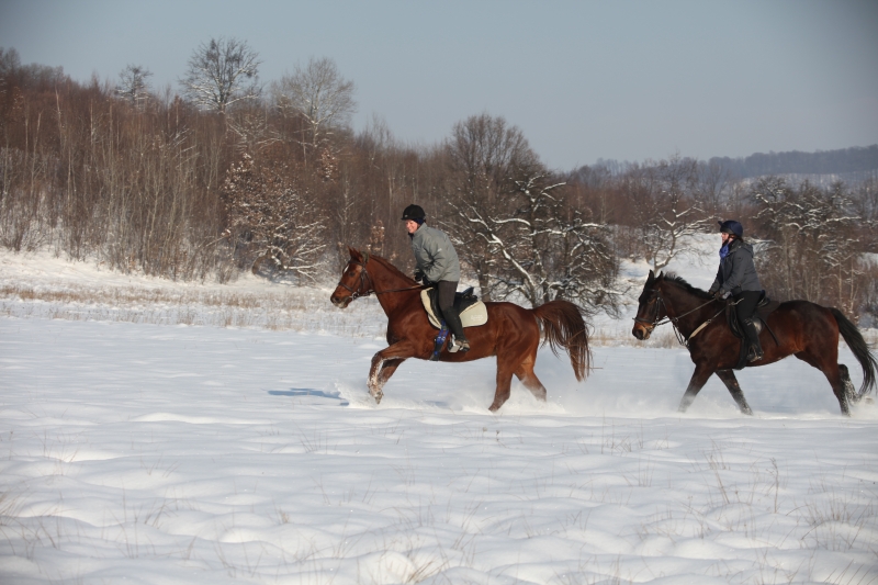 week equestrian trip in Tuscany