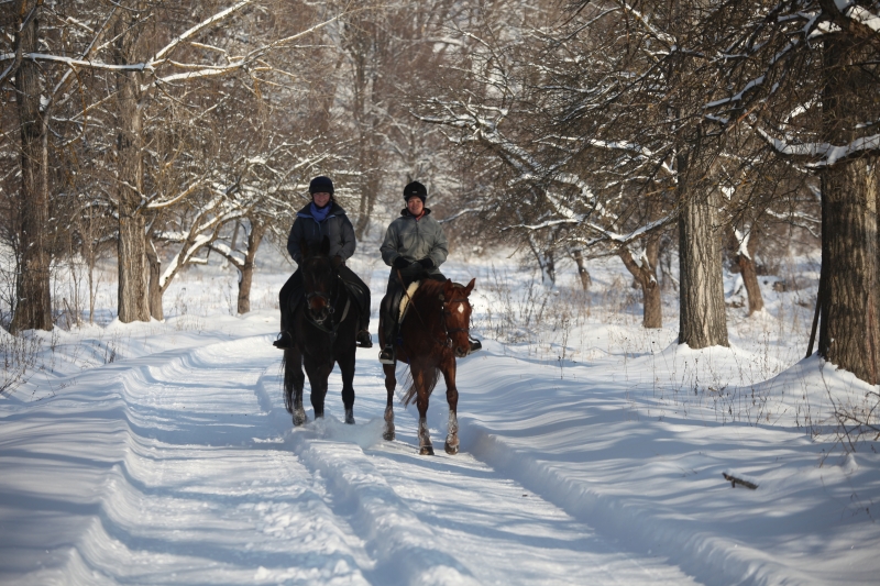 horse riding vacation croatia