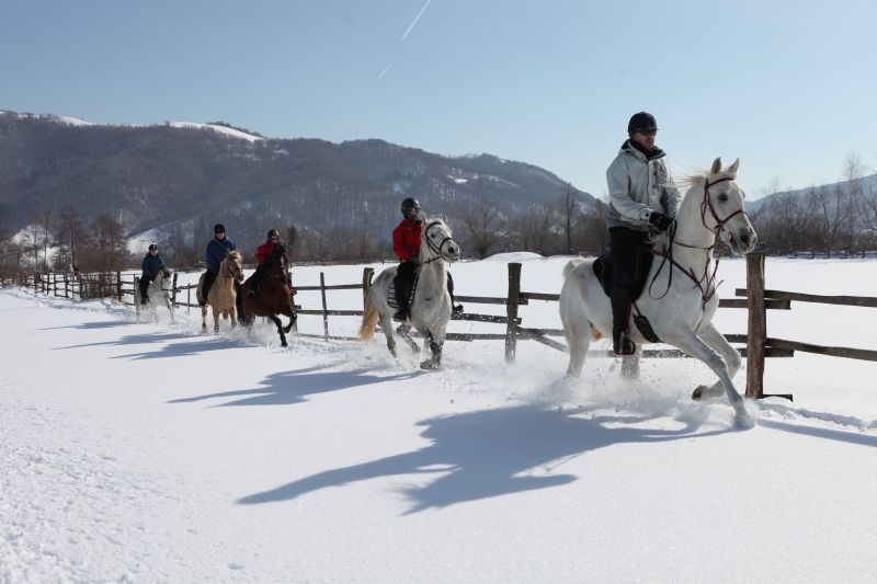 horse riding vacation croatia