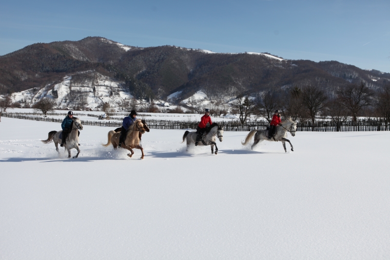 week horse ride in Tuscany