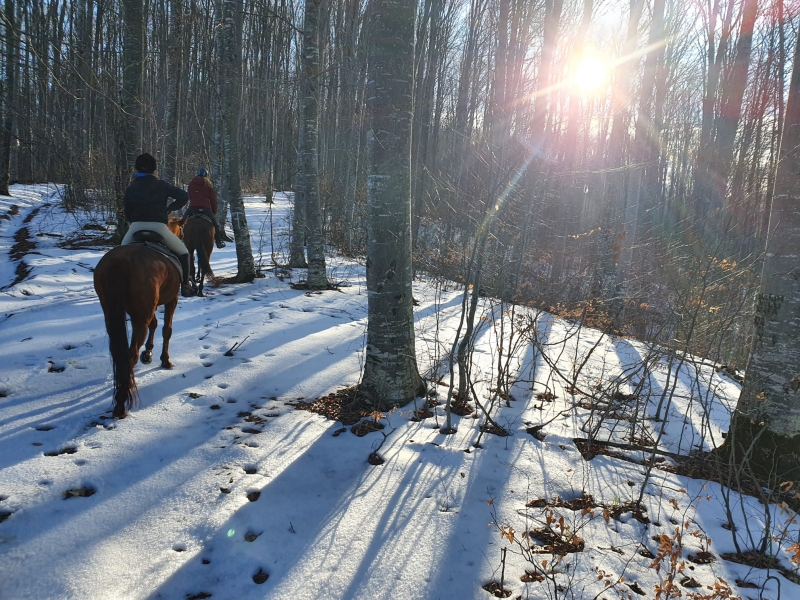 horse riding in croatia