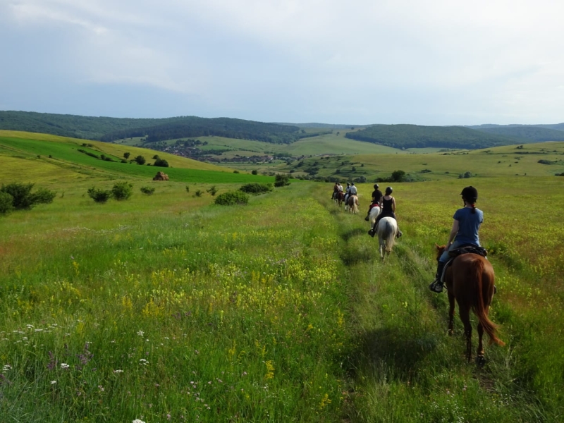 horse riding vacation in Tuscany