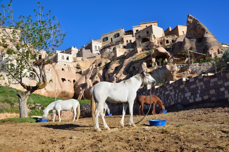 horseback trail ride in Cappadocia