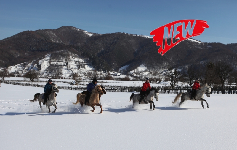 horse riding vacation croatia