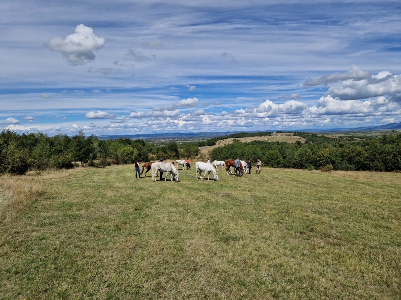 horseback ride in Tuscany