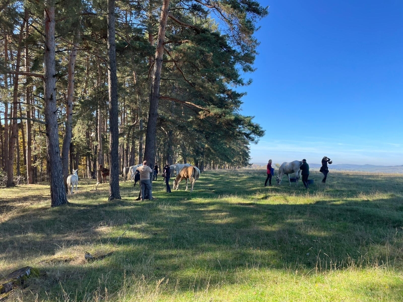 horseback trail ride in Tuscany