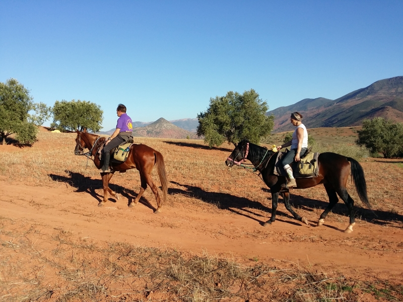 randonnee a cheval maroc