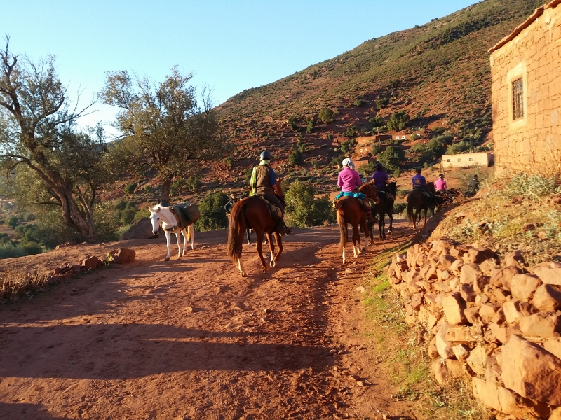 rando a cheval maroc