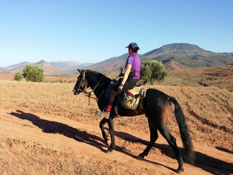 maroc a cheval