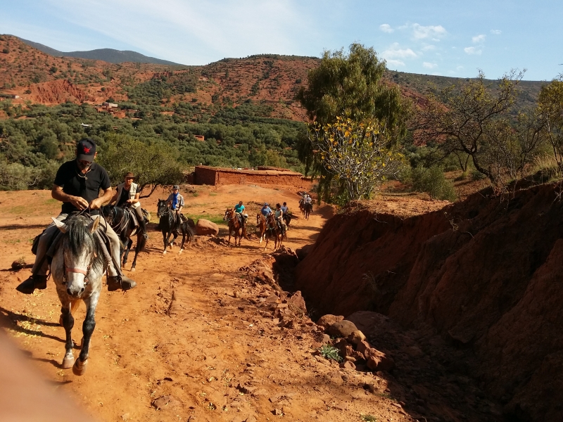 randonnee a cheval au maroc