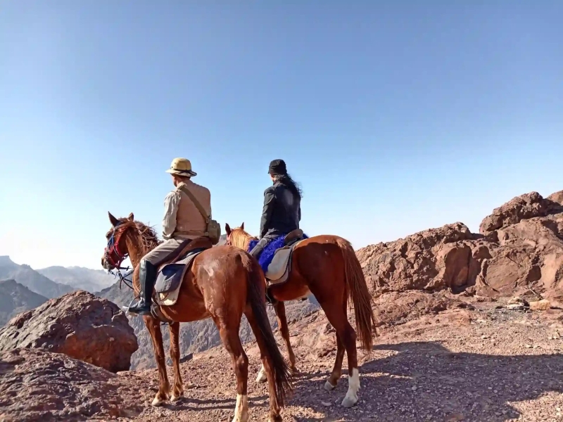 horseback riding trail ride in jordan