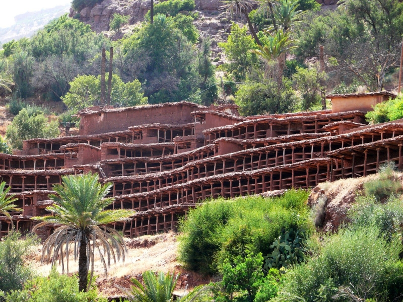 rando equestre maroc