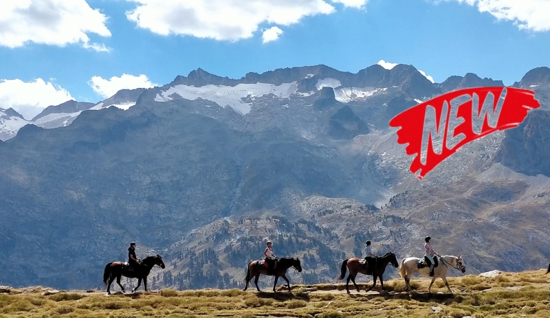 horse trail ride spain