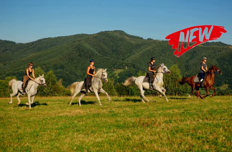 horseback riding trip in Tuscany