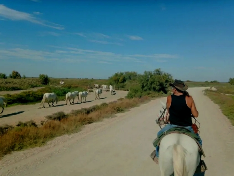 vacances à cheval en Camargue