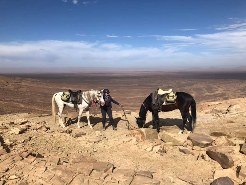 horse riding in morocco