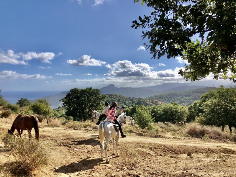 horse riding trail ride in sicily