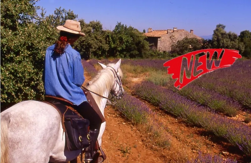 rando a cheval haute provence