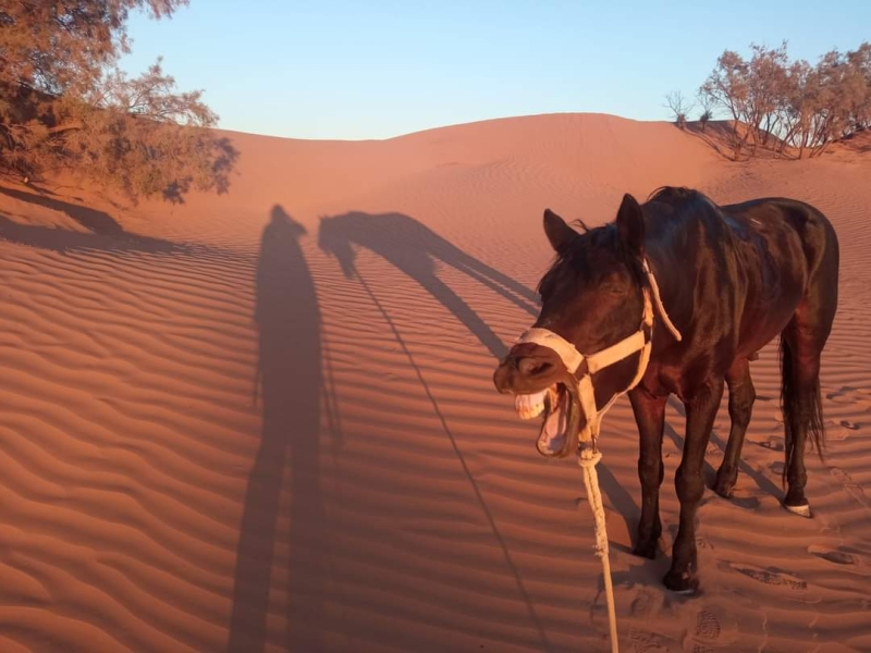 Maroc rando cheval