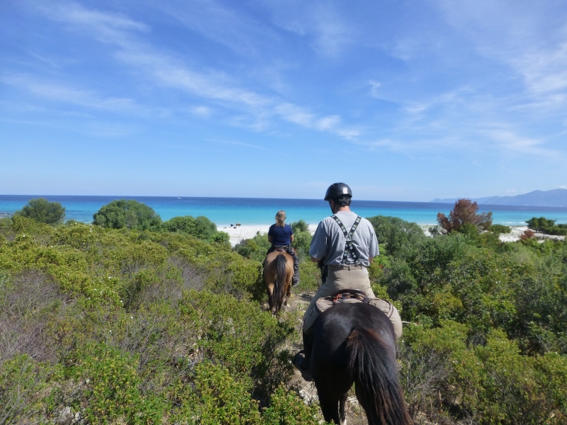 randonnee a cheval corse