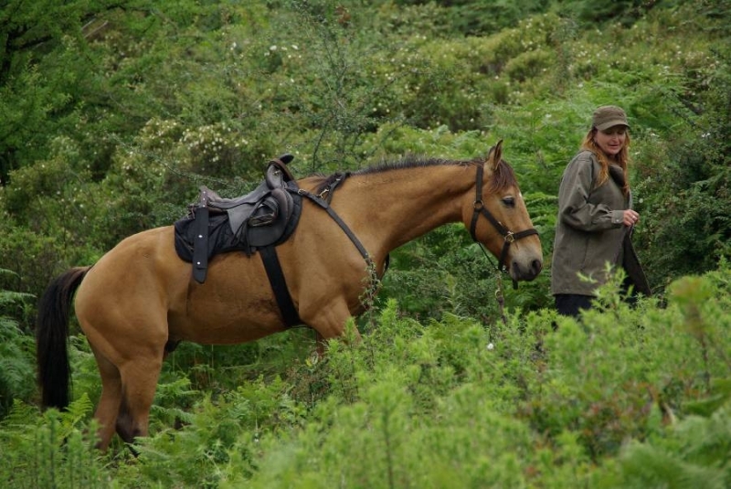 randonnee a cheval corse