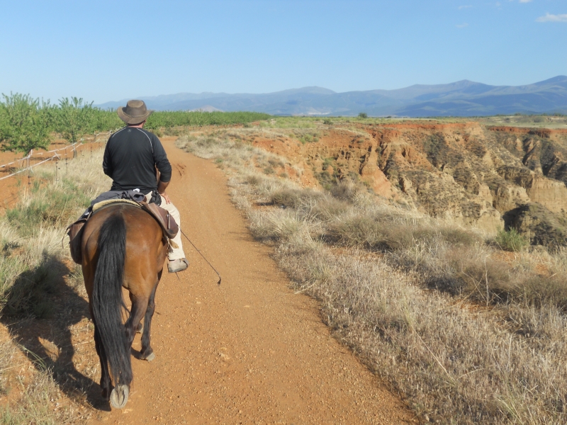horseback riding trip in andalusia