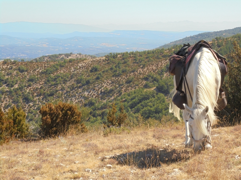 vacances a cheval luberon