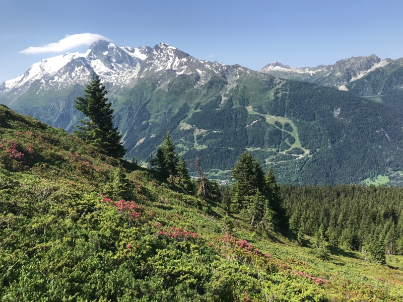 haute savoie a cheval