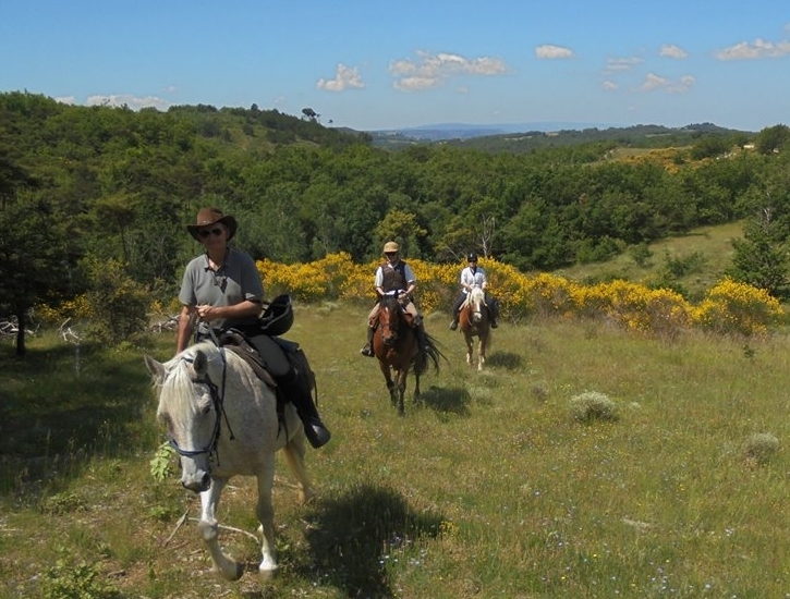 horseback riding vacation in provence